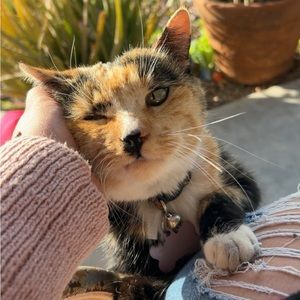 Meet your Posher, Andie